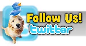 Twitter Follow Us