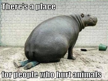 Place for people who hurt animals FF