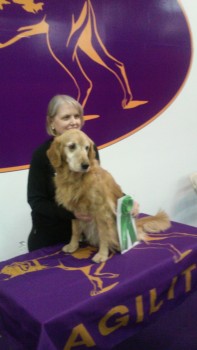 10-year old Leyla, who competed in the regular class in spite of her advanced age!