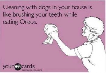 Cleaning House with dogs