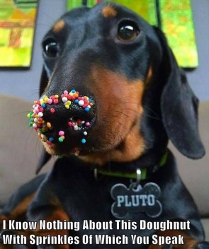 Sprinkles