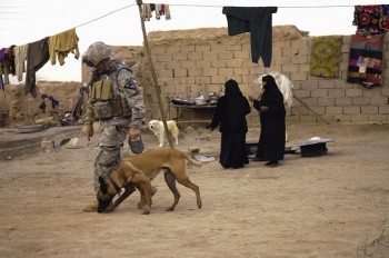 Photo by: Staff Sgt. Stacy L. Pearsall The U.S. military is trying harder to reunite soldiers with their four-legged battlefield companions, both as a way to readjust service personnel to home life and to get the dogs out of harm's way. (Associated Press - via Washington Times)