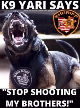 Stop Shooting