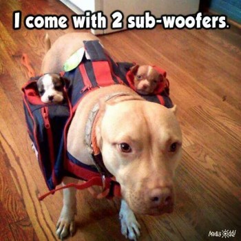 subwoofers