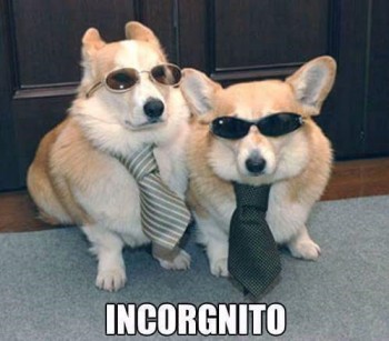 Incorgnito