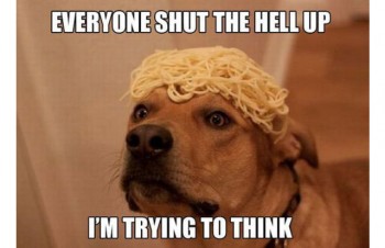 memes-17