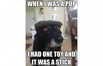 memes-9