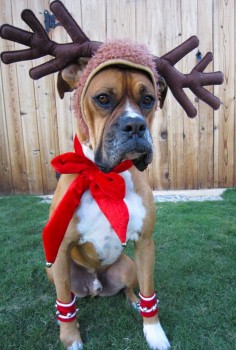 Festive antler hat