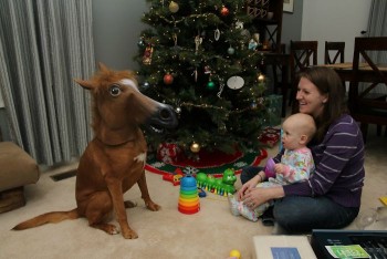 Baby got a pony for Christmas