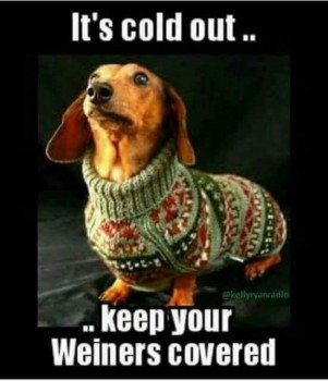 Friday Funny: Cold Snap Continues | Doggies.com Dog Blog