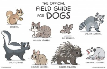 field guide