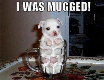Mugged