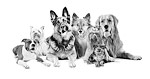 Breed Guides Icon