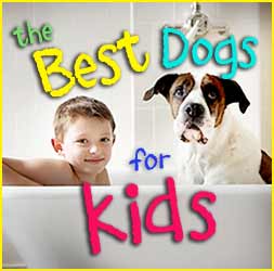 Best Dog Breeds for Kids
