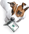 Dog holding Money