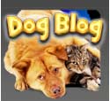 Dog Blog