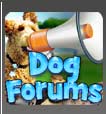 Dog Forums
