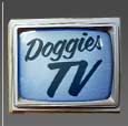 Dog Videos