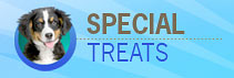 Special Treats