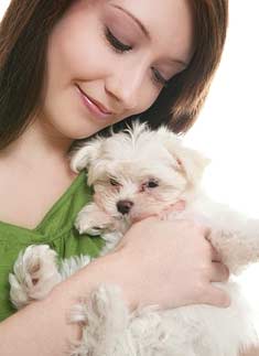 Woman cuddling Maltese puppy