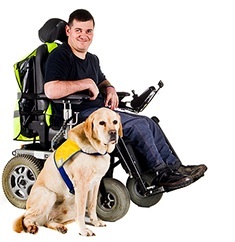 Assistance dog in action