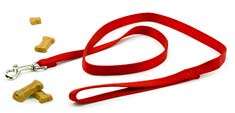 Red leash and dog treats