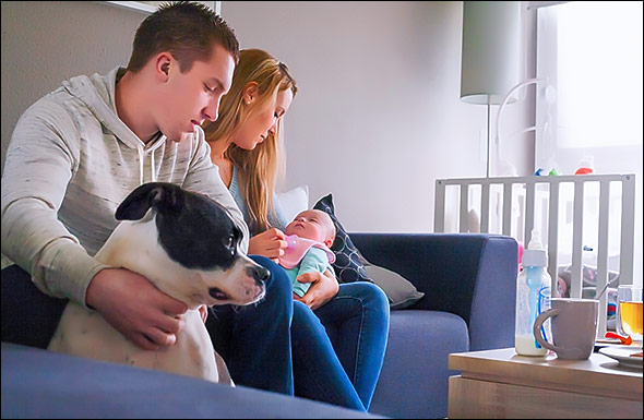 Family with Infant and Dog