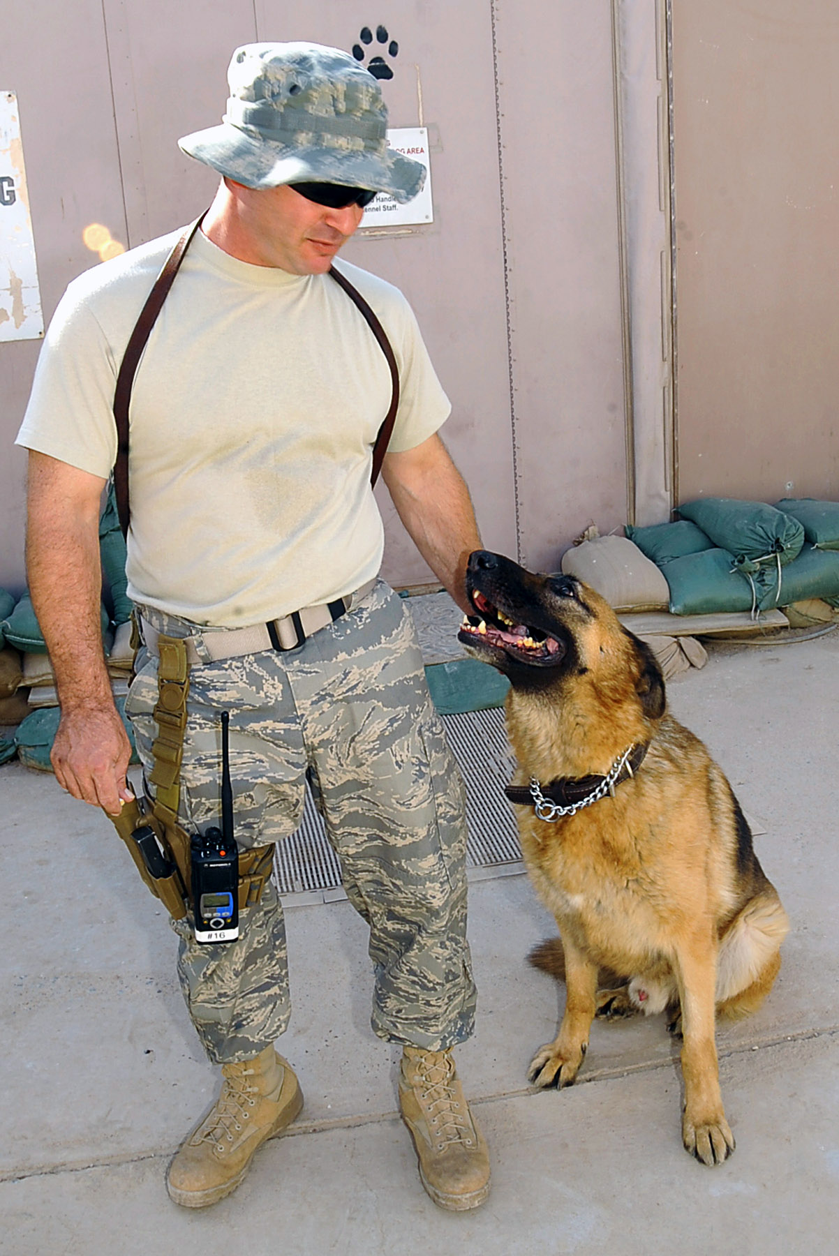 Photo from Lackland Military Dogs