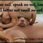 smell no evil