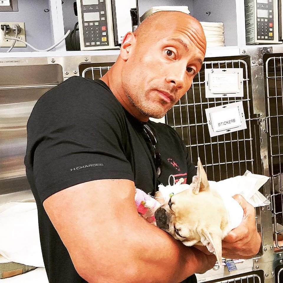 Brutus The Rock