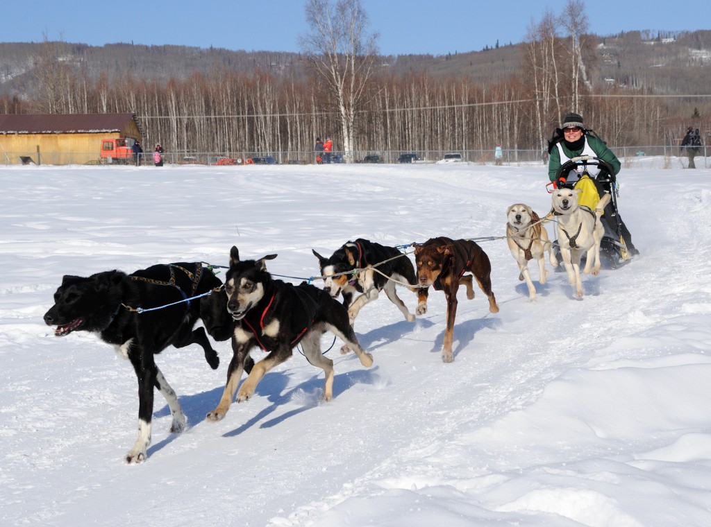 Limited North American Championship Sled Dog Races