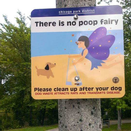 Poop Fairy