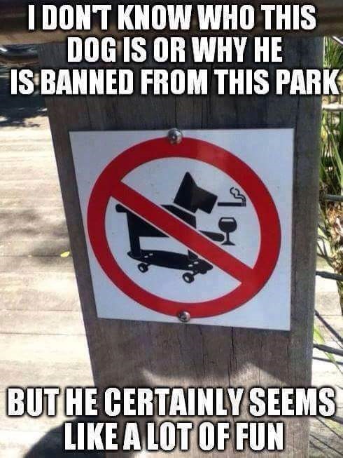Banned Dog