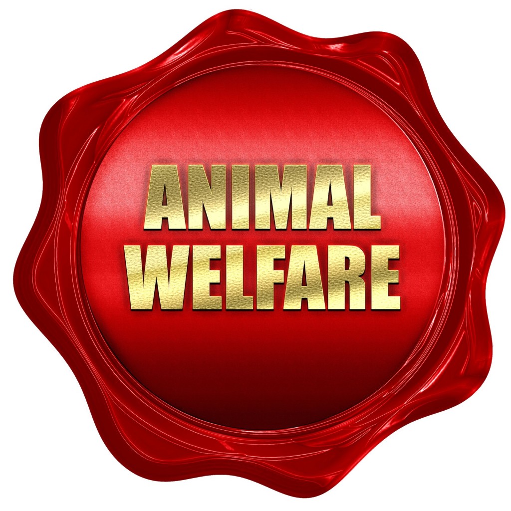 animal welfare, 3D rendering, red wax stamp with text