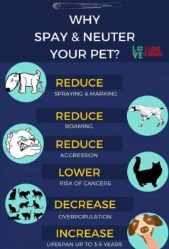 From our friends at I Love Veterinary