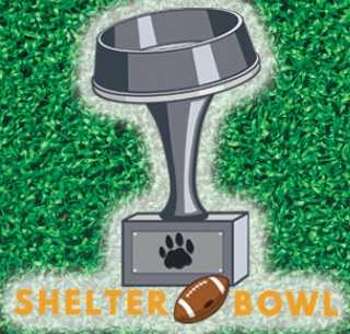 shelter bowl