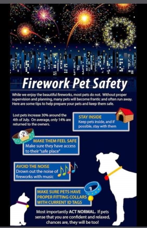 Fireworks Pet Safety