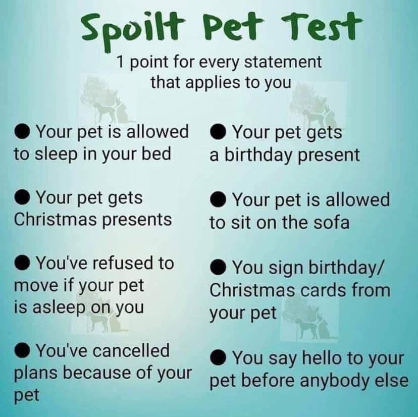 Spoiled test