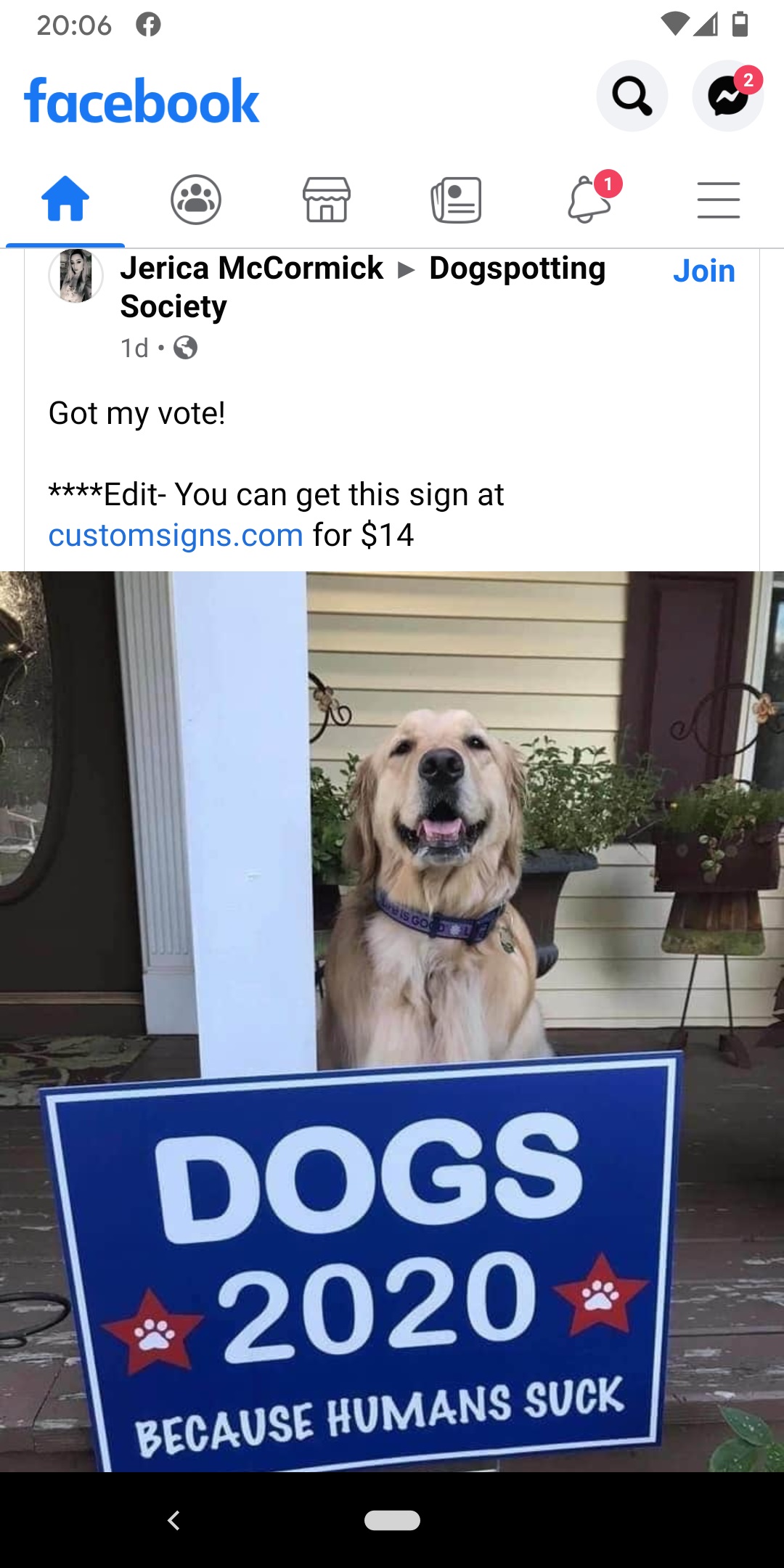 Dogs 2020