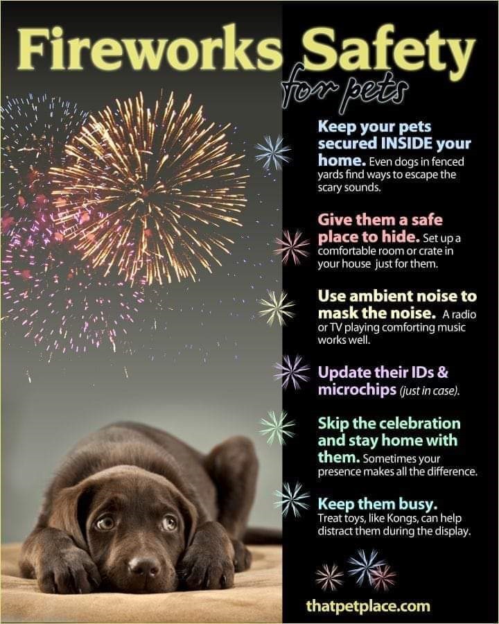 Graphic from ThatPetPlace.com