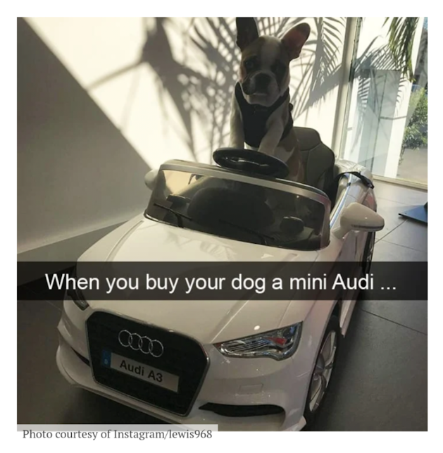Spoiled Audi