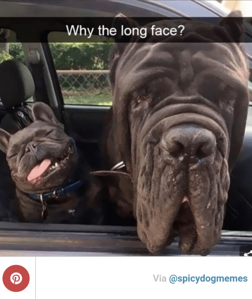 Long face