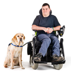 Guide dog waiting for a command