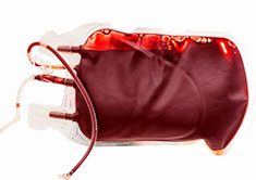Bag of dog blood