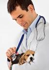 All About Vaccinating Your New Puppy