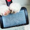 Keeping Your Dog's Coat Healthy and Beautiful at Home