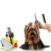 Grooming:  Choosing the Right Tool for the Job